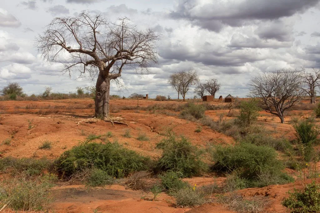 Land Degradation